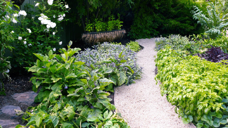 Bordaduras De Jardim Perfeitas Em Passos