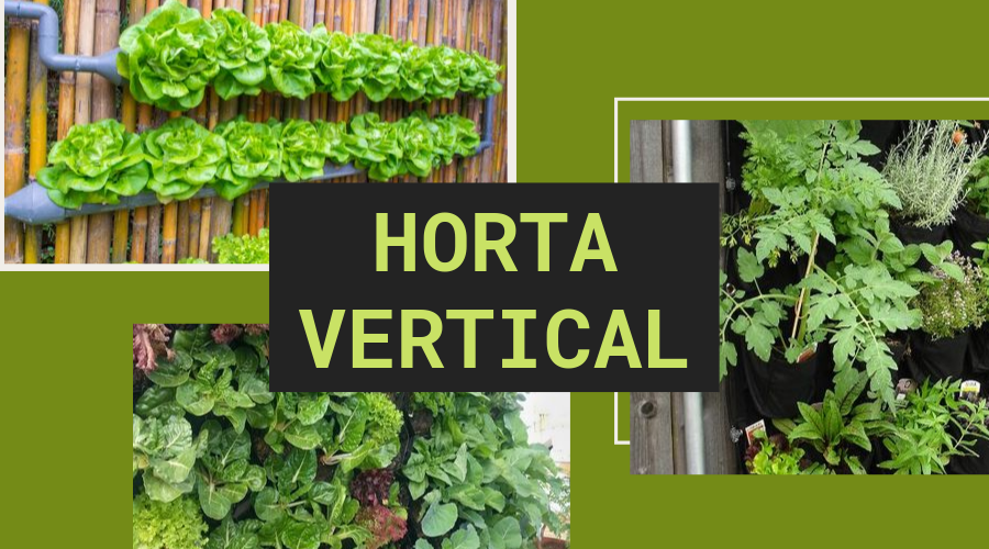 Horta Vertical como Fazer e ter Sucesso com o que Plantar.