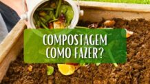 O que é Compostagem e Como Fazer? Transforme Resíduos em um Super Adubo Natural!