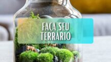 [Não Compre] Aprenda Como Fazer um Terrário e Economize mais de R$200,00