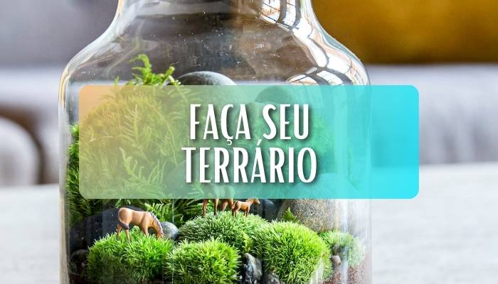 [Não Compre] Aprenda Como Fazer um Terrário e Economize mais de R$200,00