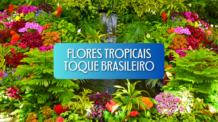 17 Flores Tropicais para Transformar seus Arranjos e Jardins com um Toque Único Brasileiro – Inspire-se e Comece Agora!
