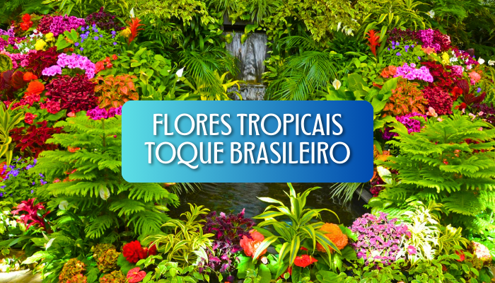 17 Flores Tropicais para Transformar seus Arranjos e Jardins com um Toque Único Brasileiro – Inspire-se e Comece Agora!