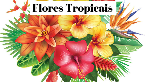 17 flores tropicais para arranjos e jardins com toque brasileiro