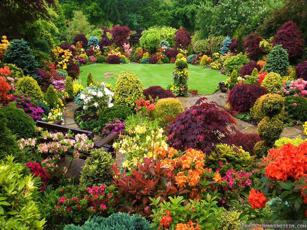jardim com plantas ornamentais