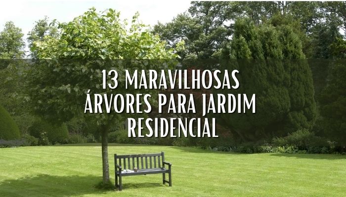 13 Maravilhosas Árvores para Jardim Residencial, Tenha Sombra e Flores.