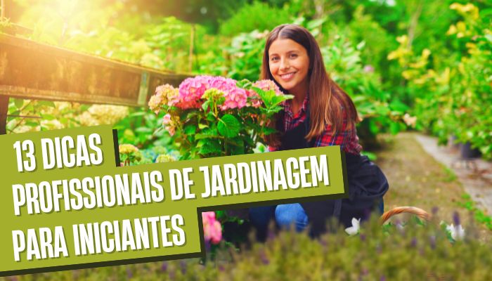 13 Dicas Profissionais de Jardinagem para Iniciantes, Comece a Plantar com o Dedo Verde!