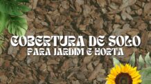 Cobertura de Solo para Jardim e Horta: O Segredo dos Jardins e Hortas Profissionais.