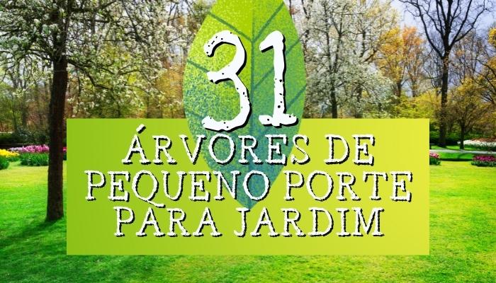 31 Árvores de Pequeno Porte para Jardim (Árvores Pequenas de Grande Beleza)