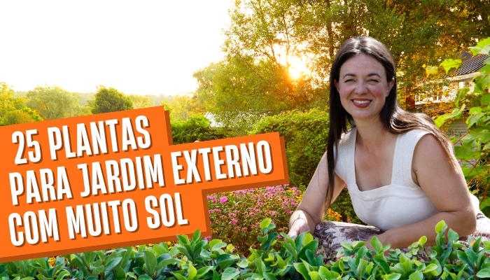 25 Plantas para Jardim Externo com Muito Sol: Muito Fáceis de Cuidar!