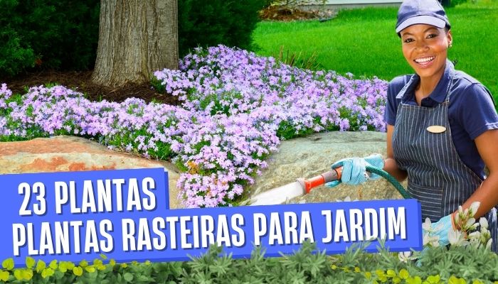 Plantas Rasteiras para Jardim: 23 Lindas Espécies e Tipos.