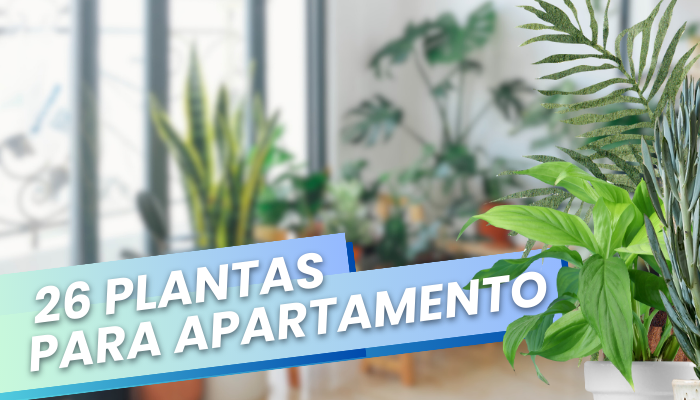 26 Plantas para Dentro de Apartamentos: Descubra as melhores opções dessa tendência que conquistou os apartamentos.