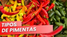 Tipos de Pimentas, Brasileiras, Vermelhas, Saborosas, Doces e Fortes!