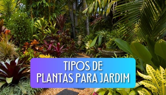 6 Tipos de Plantas para Jardim