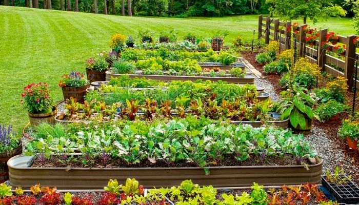 Tipos de Plantas para Jardim